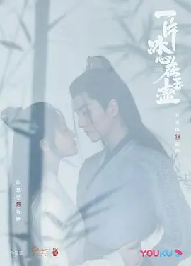 《一片冰心在玉壶》：古装探案新视角，侠义柔情下的真相迷局！