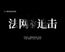 《法网追击》：正义之光下的暗影搏斗，看警察如何守护城市的安全！